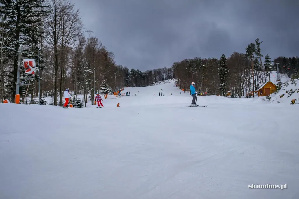 Jaworzyna Krynicka: początek stycznia 2017, zdjęcie 11