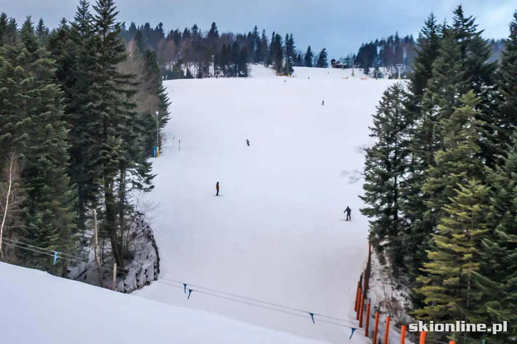 Krynica Azoty: Słotwiny, zdjęcie 11