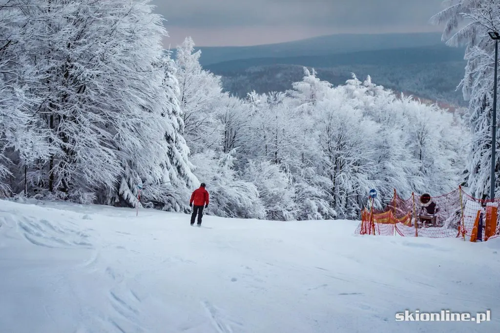Magura Ski Park. Styczeń 2016, zdjęcie 10