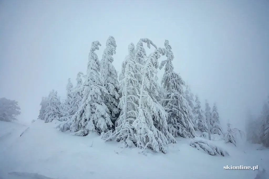 Szczyrk Mountain Resort. Sezon 18/19 otwarty, zdjęcie 12