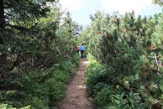 Czerwonym na Babią Górę 1725 m, zdjęcie 7