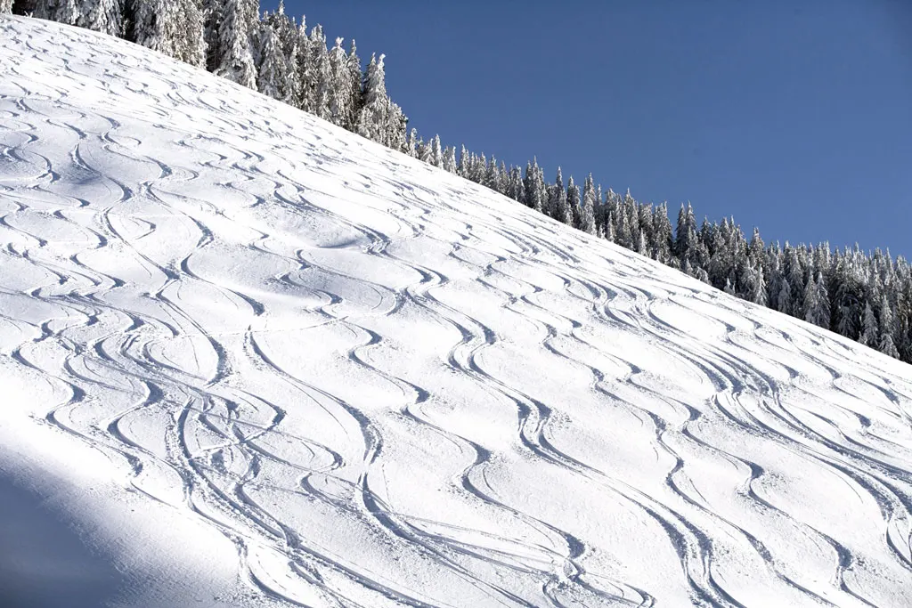 Zdjęcie 26 z galerii Ski amadé: 760 km tras narciarskich, 270 wyciągów