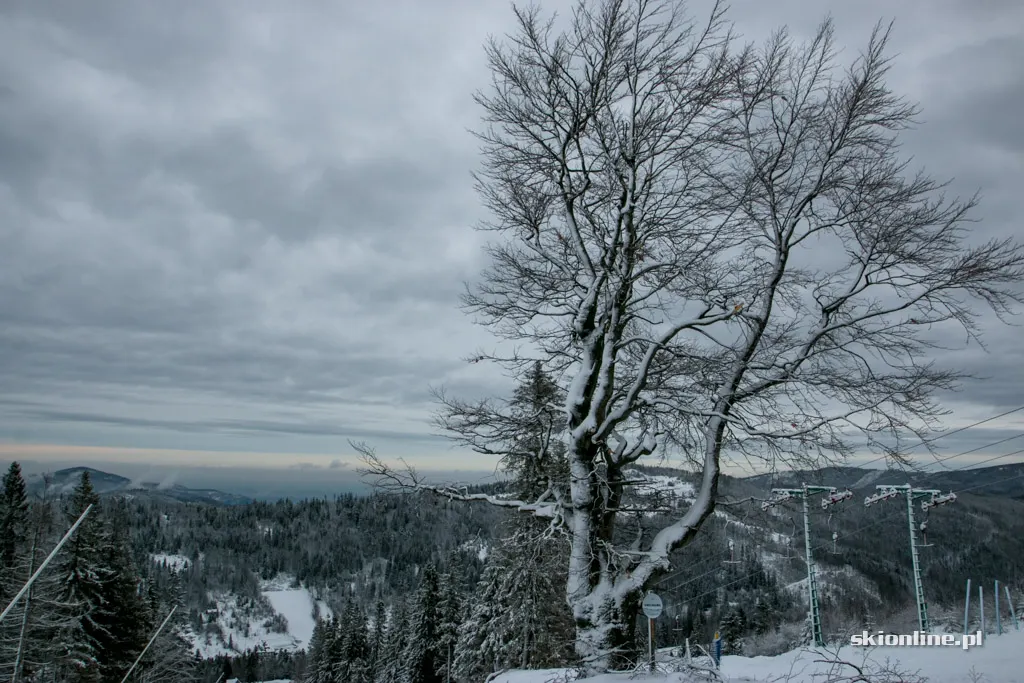Szczyrk Mountain Resort dobre warunki do jazdy, zdjęcie 53