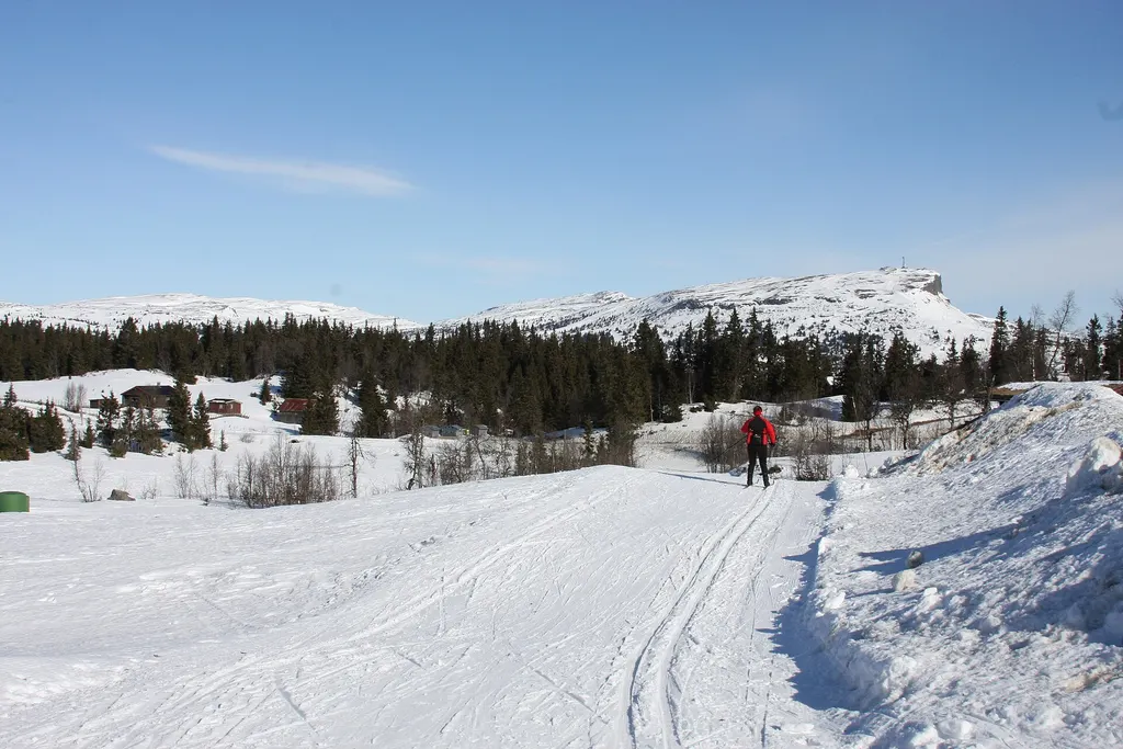 Skeikampen