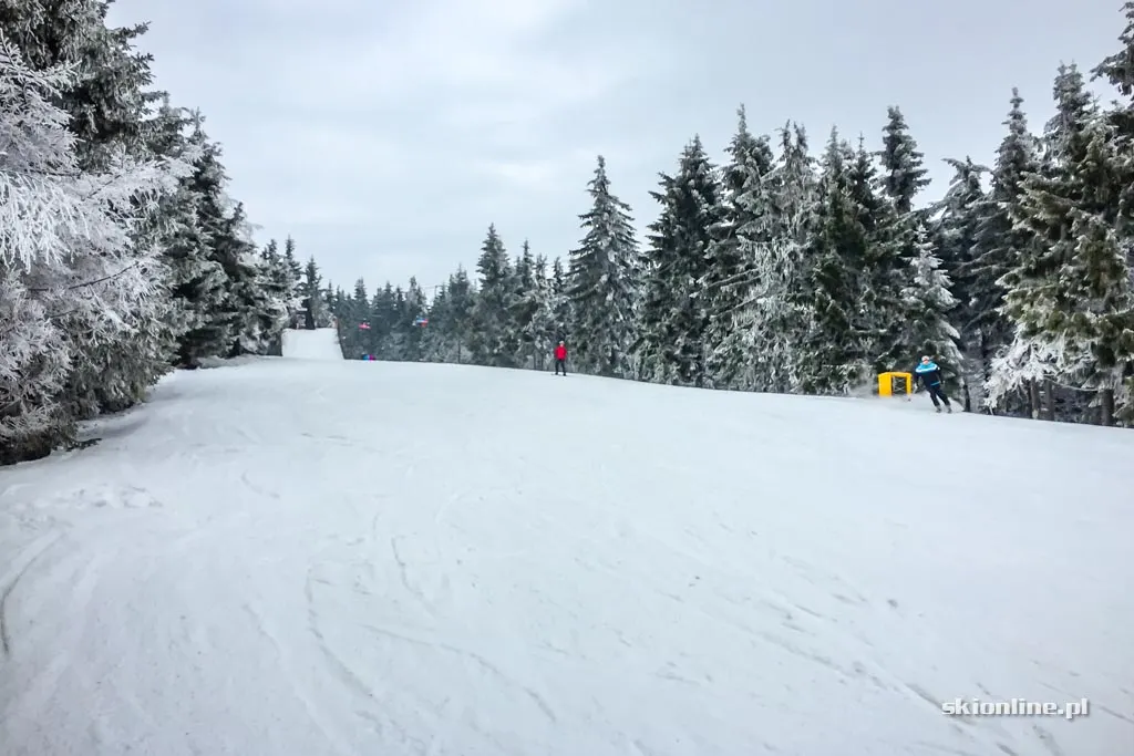 Ski centrum Říčky w Czechach, luty 2017, zdjęcie 27