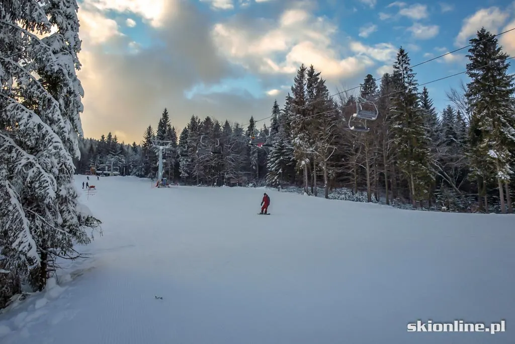Krynica Henryk Ski: styczeń 2016, zdjęcie 4