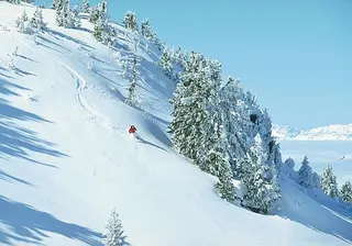 Zdjęcie 16 z galerii Freeride