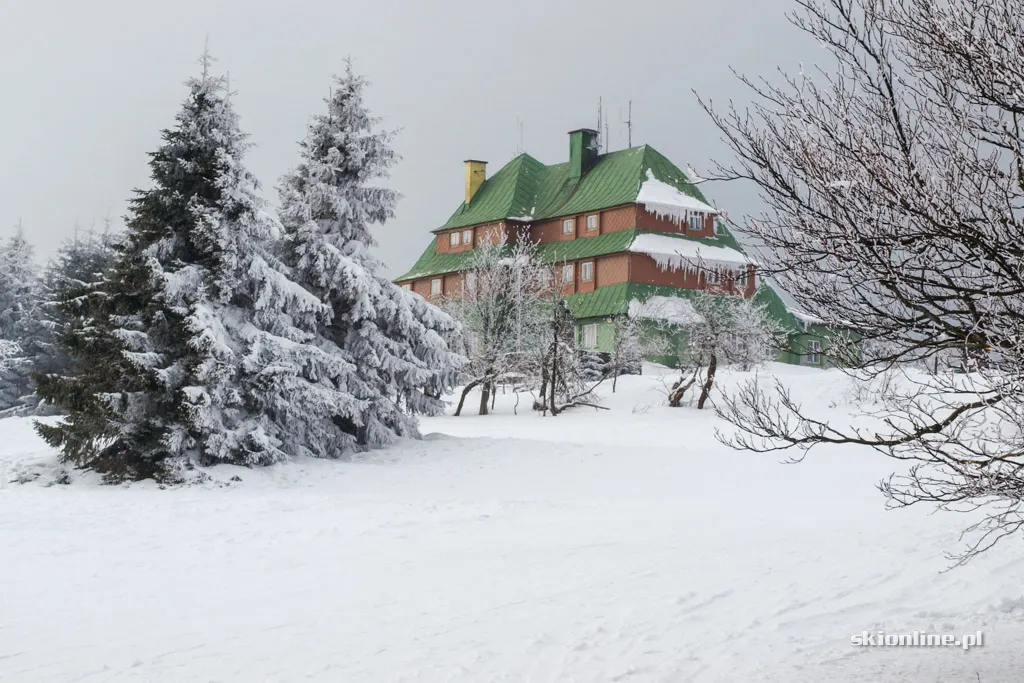 Zieleniec Ski Arena: Nartorama, zima w pełni, zdjęcie 24