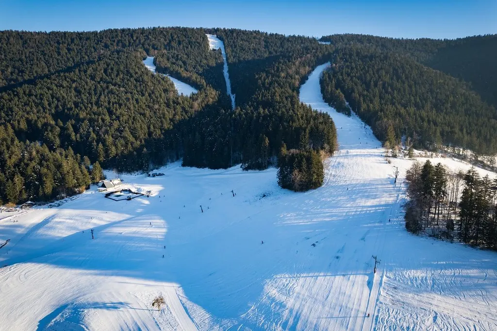 Widok z drona na trasy narciarskie Le Sappey-en-Chartreuse wycięte w zalesionym zboczu