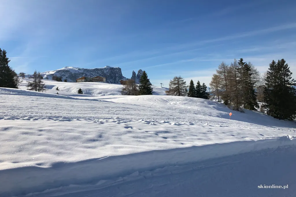 Seiser Alm / Alpe di Siusi, zdjęcie 19