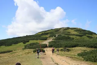 Czerwonym na Babią Górę 1725 m, zdjęcie 26