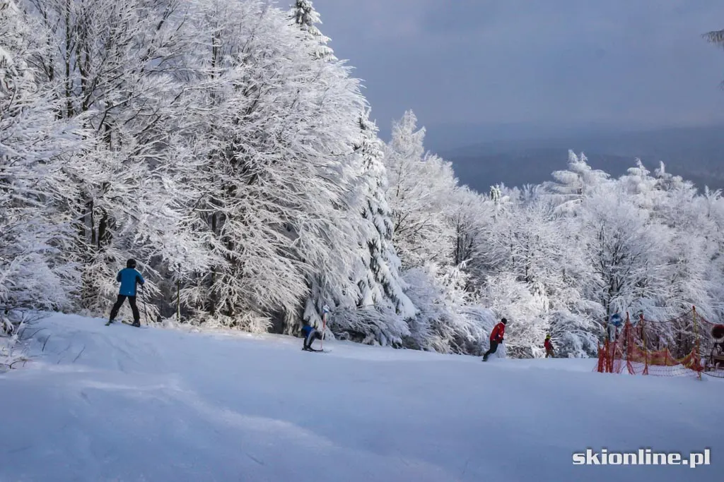 Magura Ski Park. Styczeń 2016, zdjęcie 19