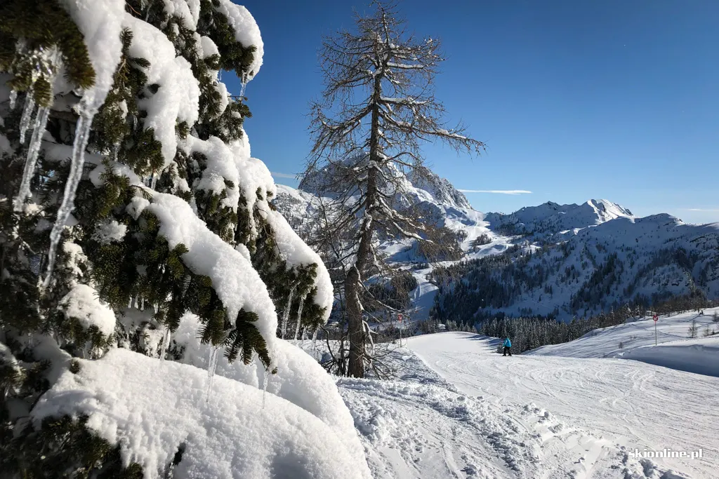 Nassfeld w Karyntii, Austria. Marzec 2020, zdjęcie 7
