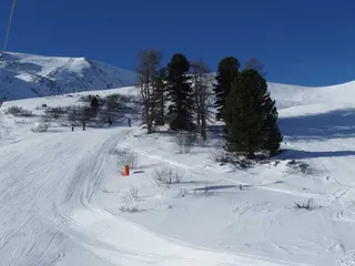 Turraher Hoehe: Karyntia, Austria, zdjęcie 64