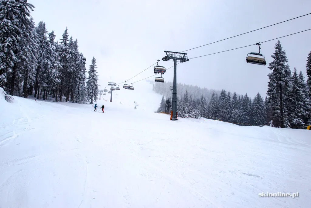Winter Park Martinky, zdjęcie 31