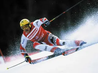 Zdjęcie 4 z galerii Herminator