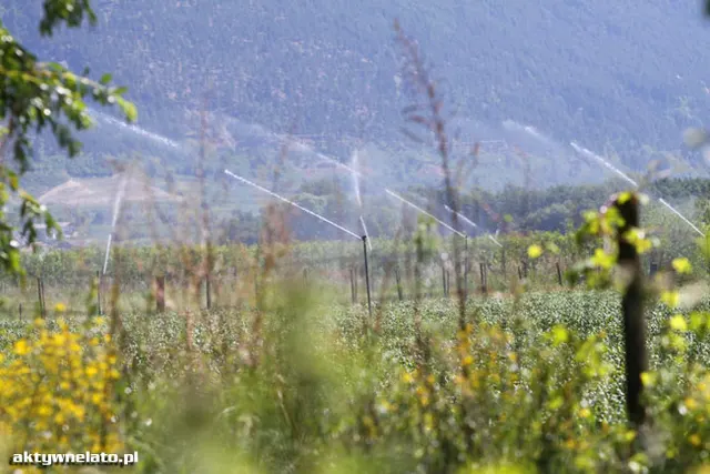 Rowerem przez dolinę Vinschgau, zdjęcie 38