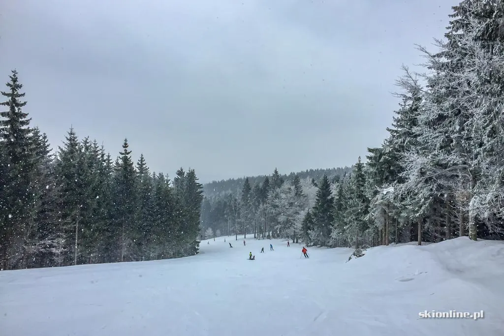 Ośrodek Bukova hora w Czechach, luty 2017, zdjęcie 20