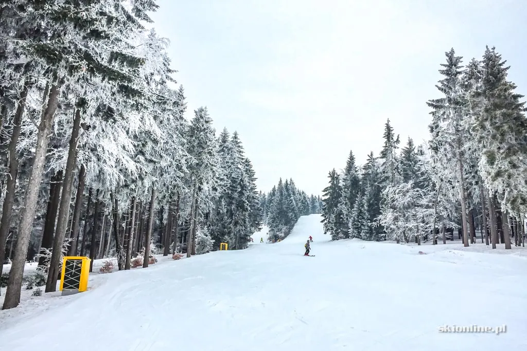 Ski centrum Říčky w Czechach, luty 2017, zdjęcie 19