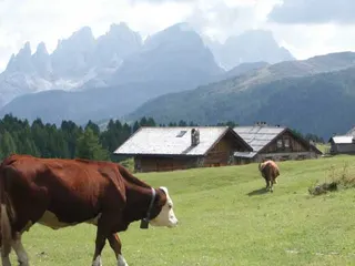 Treking w Trentino, zdjęcie 53