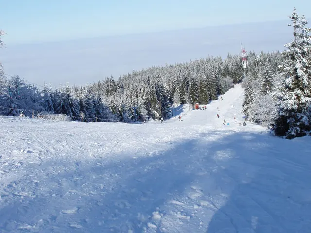 Zima w Beskidach: Szyndzielnia, zdjęcie 43