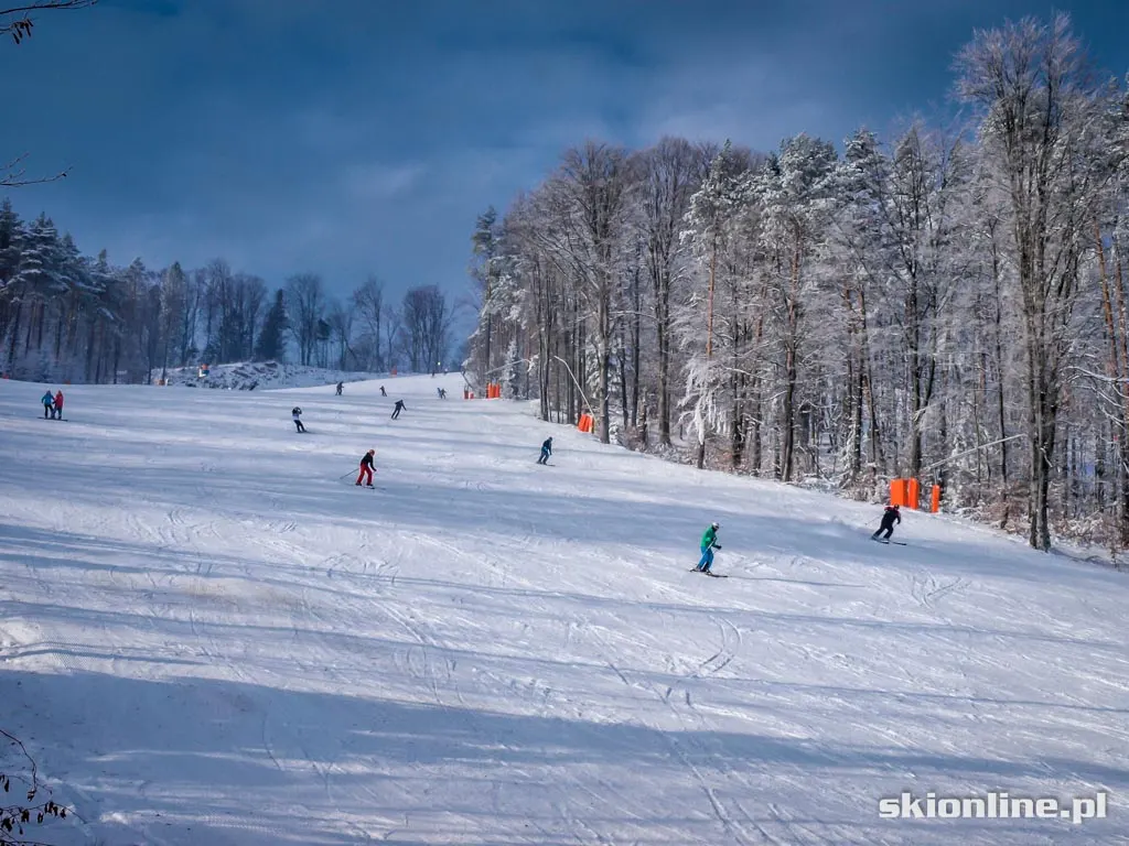 Jaworzyna Krynicka 2015.01.02, zdjęcie 31