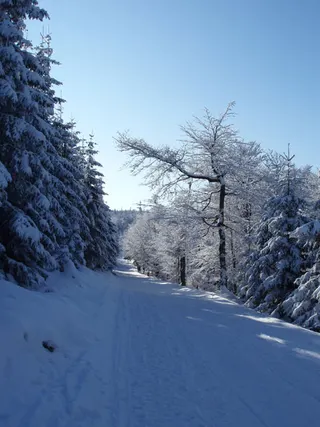 Zima w Beskidach: Szyndzielnia, zdjęcie 68