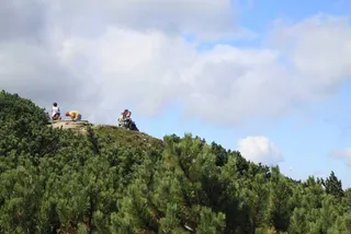 Czerwonym na Babią Górę 1725 m, zdjęcie 23