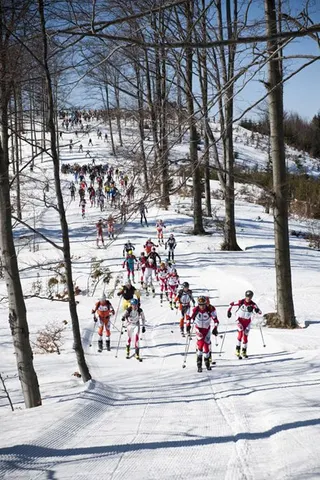 Zdjęcie 1 z galerii VII Polar Sport Skitour im. Basi German