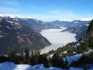 Ahorn: Zillertal, Tyrol Austria