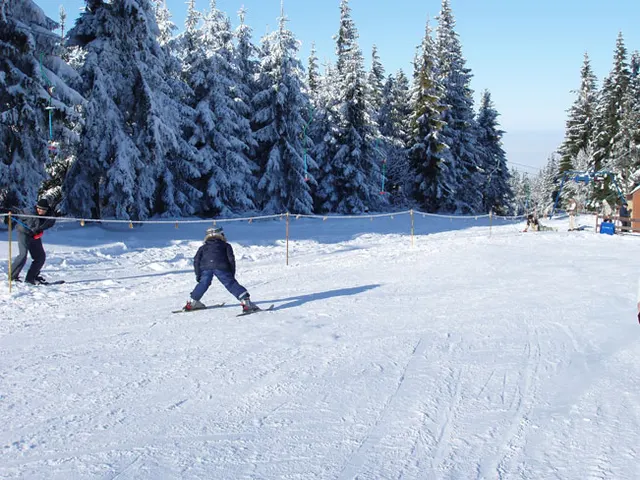Zima w Beskidach: Szyndzielnia, zdjęcie 31