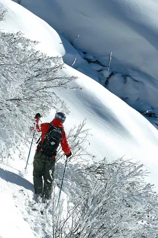 Freeride by Frencys, zdjęcie 33