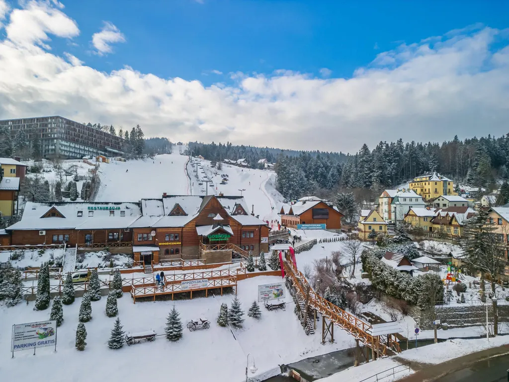 Stok Henryk Ski w Krynicy-Zdroju zimą z góry, u podnóża drewniane budynki ośrodka i ośnieżony las
