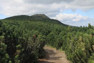 Czerwonym na Babią Górę 1725 m, zdjęcie 20