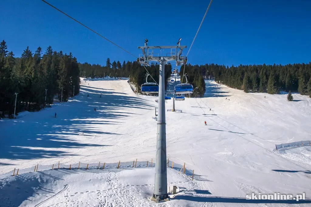 Freeski w Zieleńcu, zdjęcie 29
