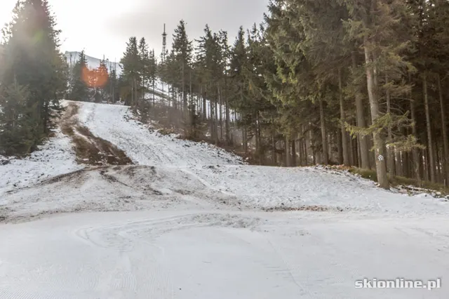Szczyrk, Skrzyczne: FIS, zdjęcie 24