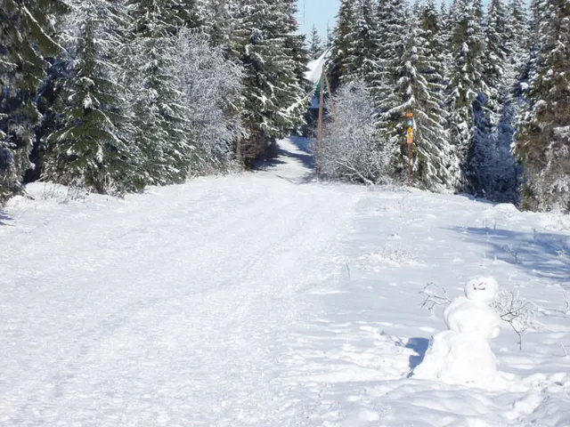 Zima w Beskidach: Szyndzielnia, zdjęcie 19