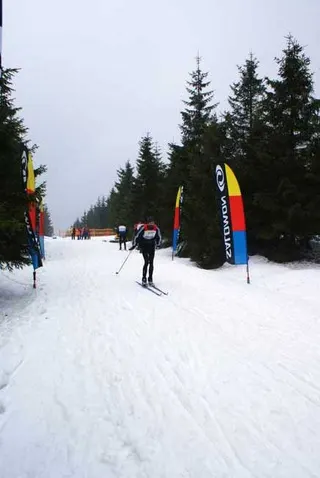 Zdjęcie 15 z galerii SNS VII edycja