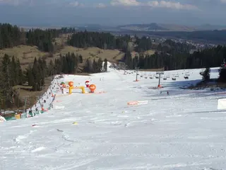 Wiosna na Kotelnicy, zdjęcie 33