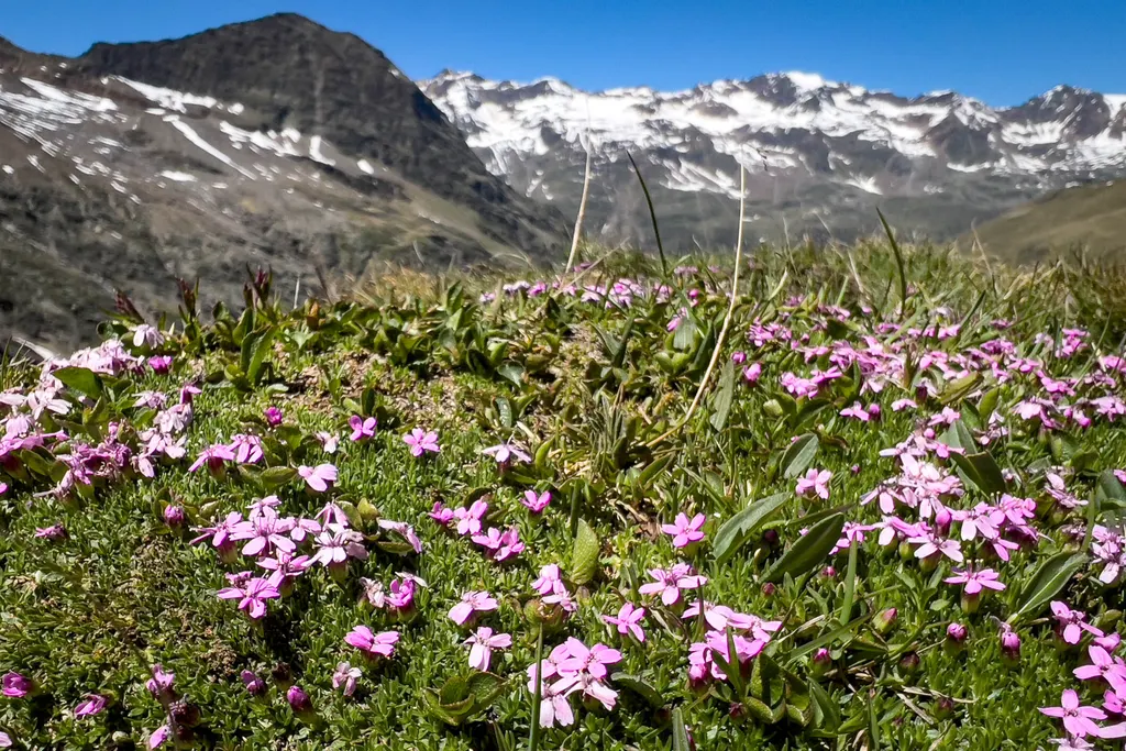 Obergurgl w Tyrolu, zdjęcie 10