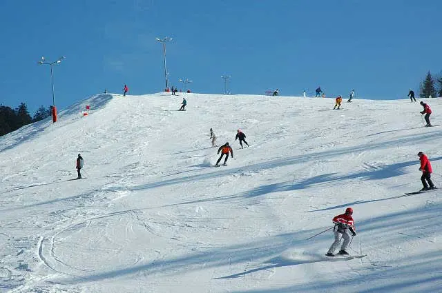 Fot. Wierchomla, zdjęcie 11