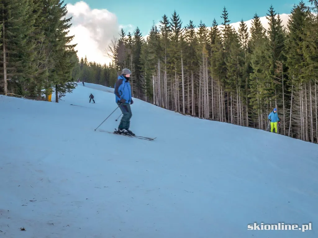 Ski Arena Szrenica. Koniec stycznia 2016, zdjęcie 25