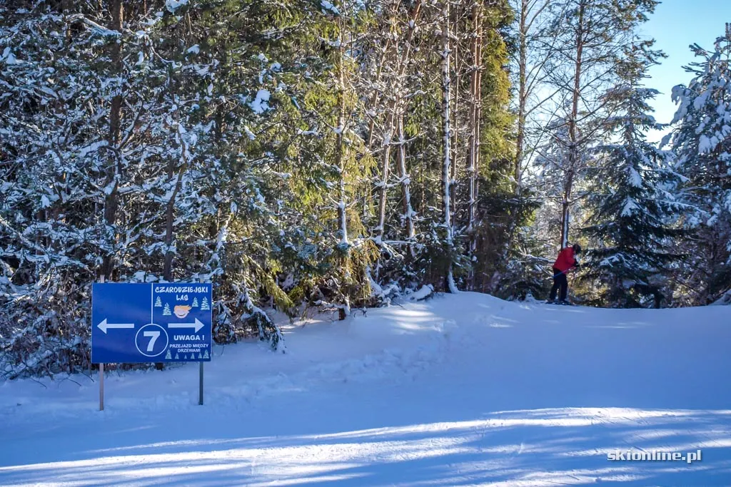 Tylicz, stacja Master-Ski: styczeń 2017, zdjęcie 17