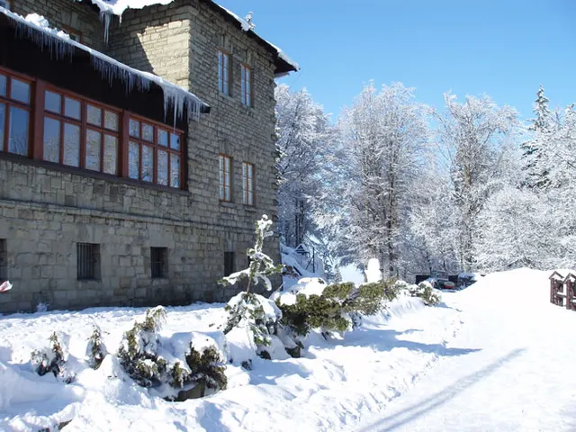 Zima w Beskidach: Szyndzielnia, zdjęcie 55