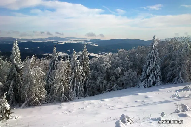 Jaworzyna Krynicka styczeń 20, zdjęcie 12