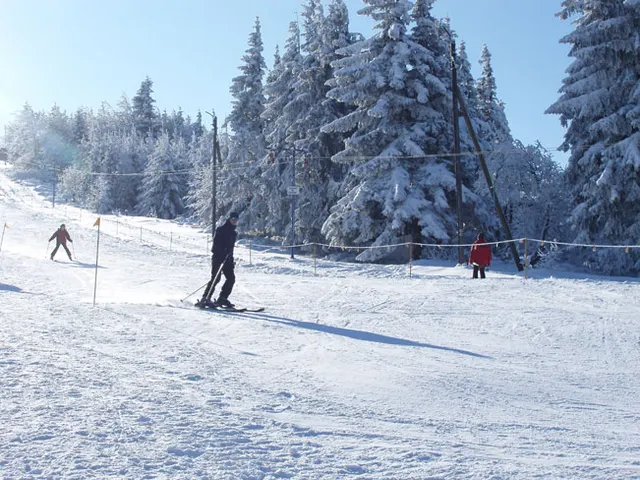 Zima w Beskidach: Szyndzielnia, zdjęcie 15