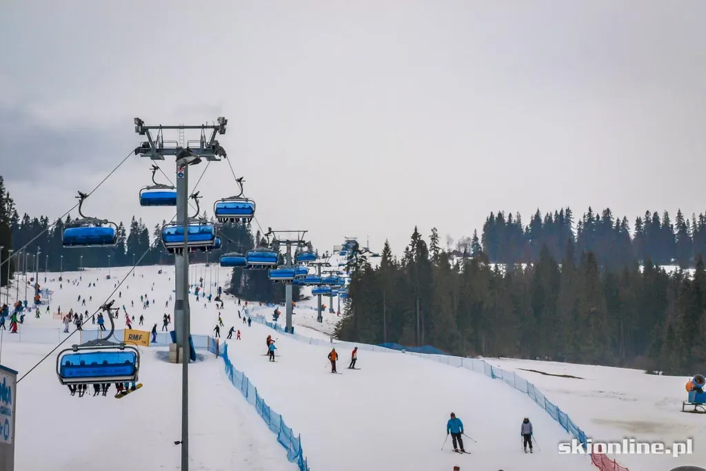 Białka Tatrzańska: Pasieka Express, zdjęcie 1