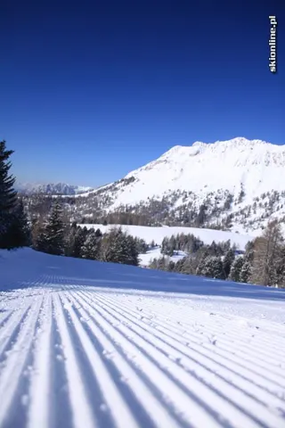 Trentino: Alpe Lusia, Moena, B, zdjęcie 11