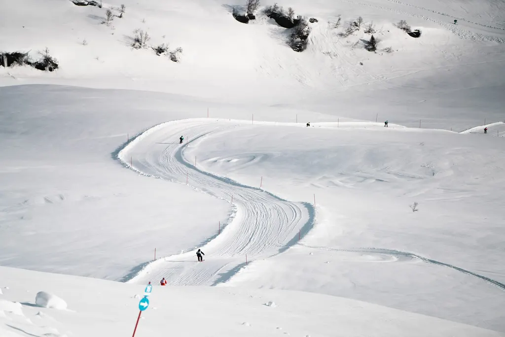 Voss Resort