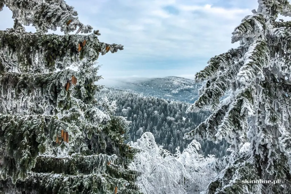 Ski centrum Říčky w Czechach, luty 2017, zdjęcie 37